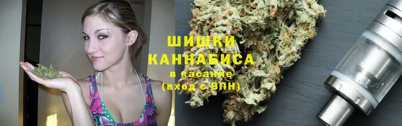 где купить   Магас  Бошки марихуана Amnesia 